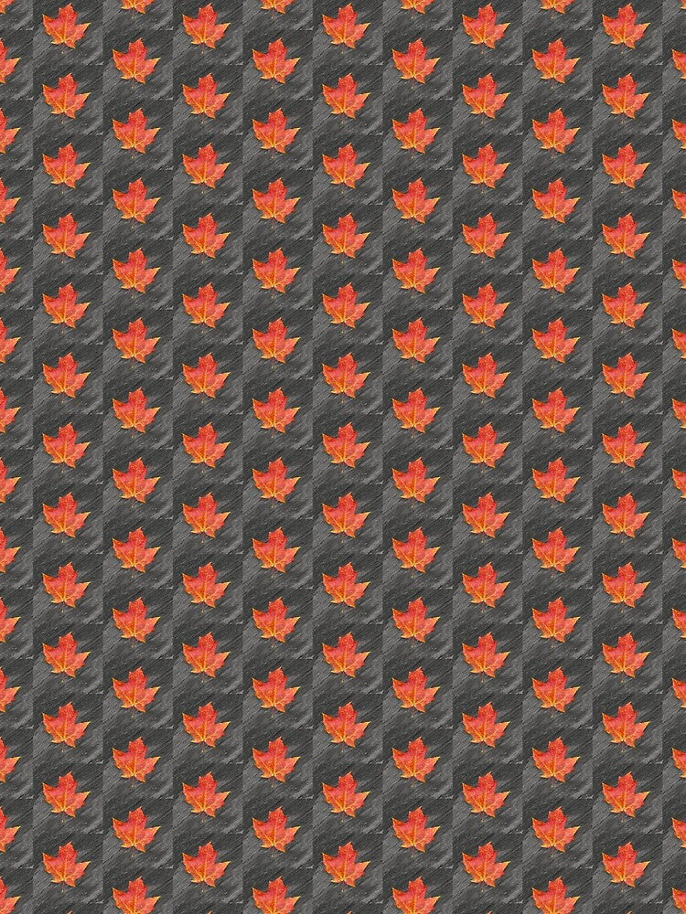 Sugar Sweet Maple Leaf by Kathilee