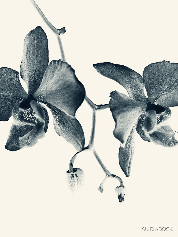 Cyan Orchid #1 by ALICIA BOCK