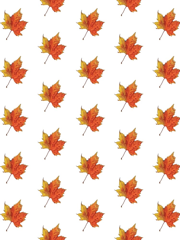 Fall Leaf Drawing by Hillary Mason