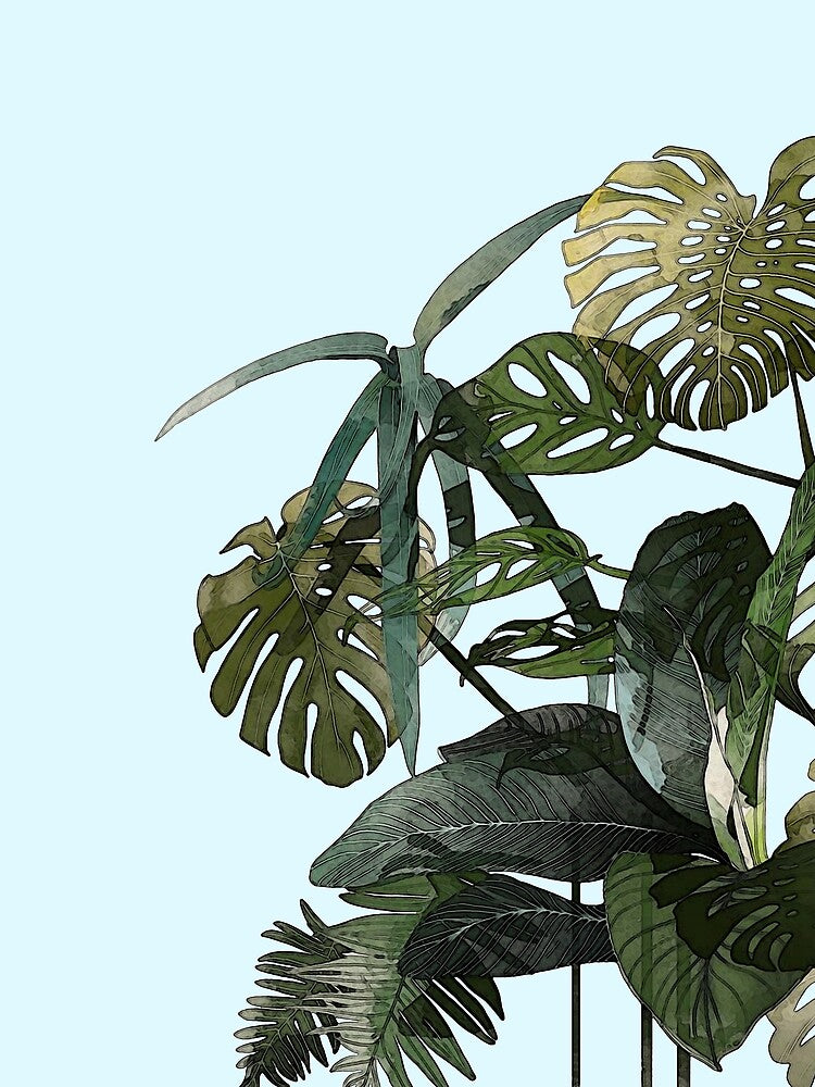 tropical by PiratesOffice