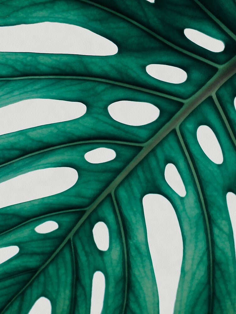 Monstera Tropical Print by banginT