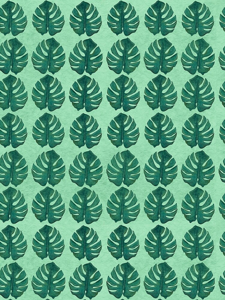 Monstera Leaves on Mint Textured Background by PD-Coastal
