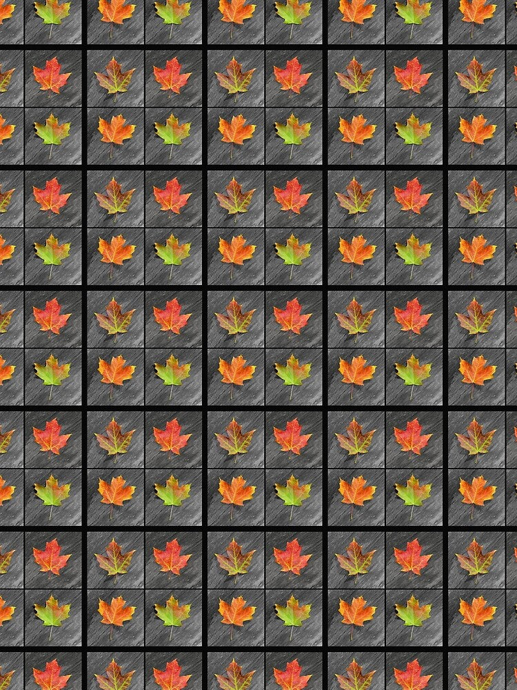4 Square Autumn Leaves by Kathilee