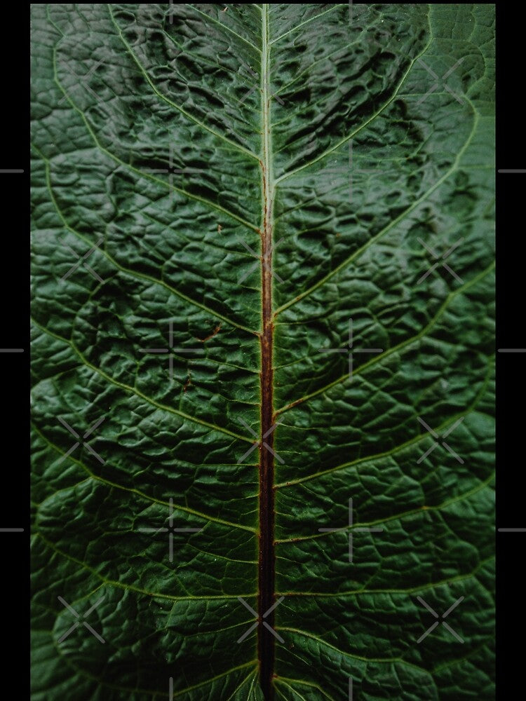 Leaf by A-J-Designz