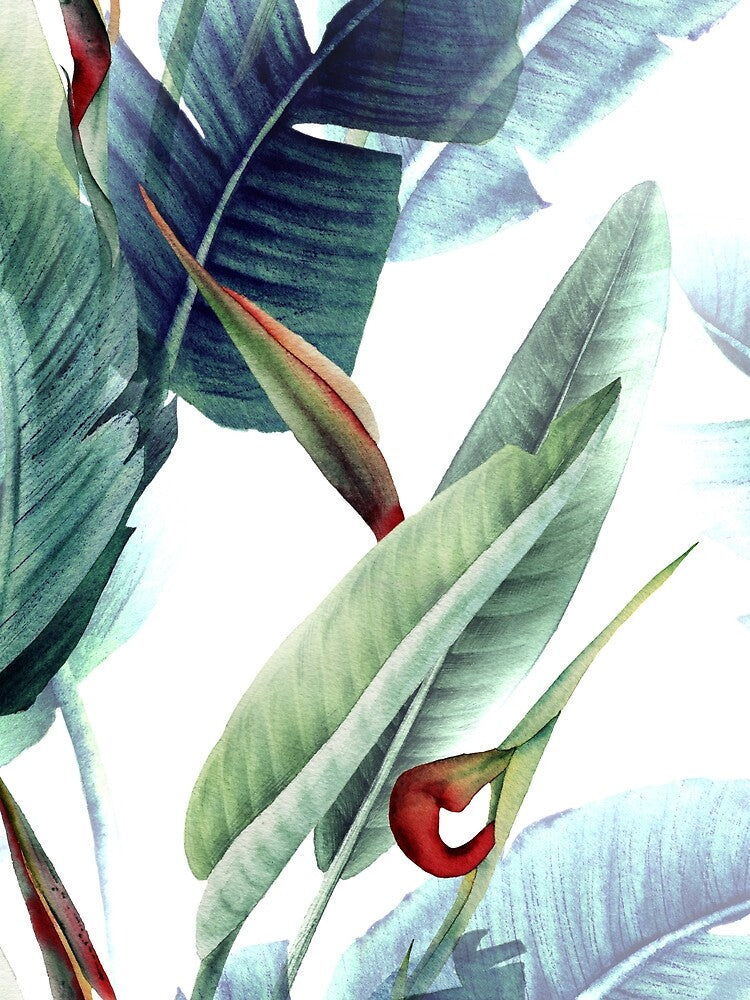 Tropical flowers. Pattern with strelitzia by Olga Melikhova
