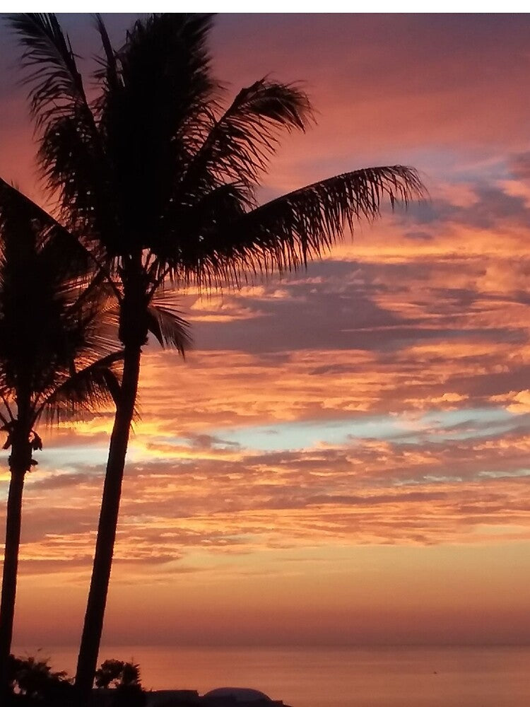 Pink and Purple Sunset by Designs By Creation