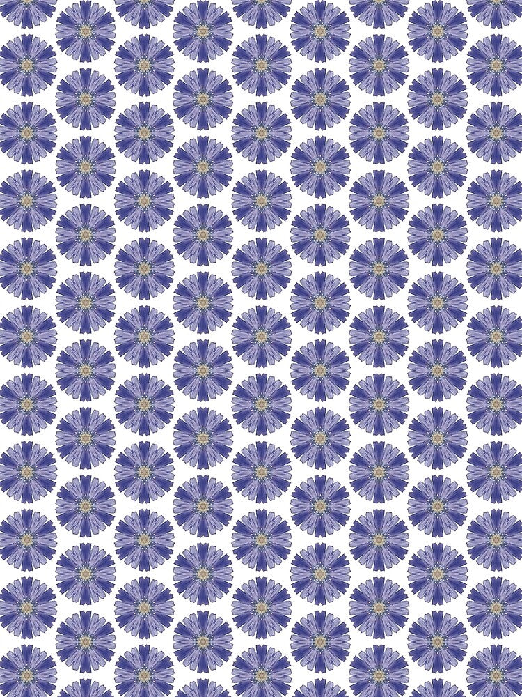 Chicory flowers print by LittleBettyMakes