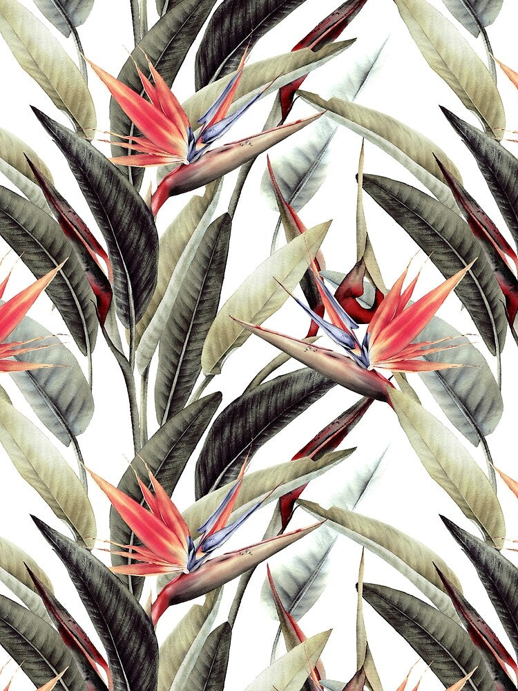 Tropical flowers, strelitzia. Pattern by Olga Melikhova