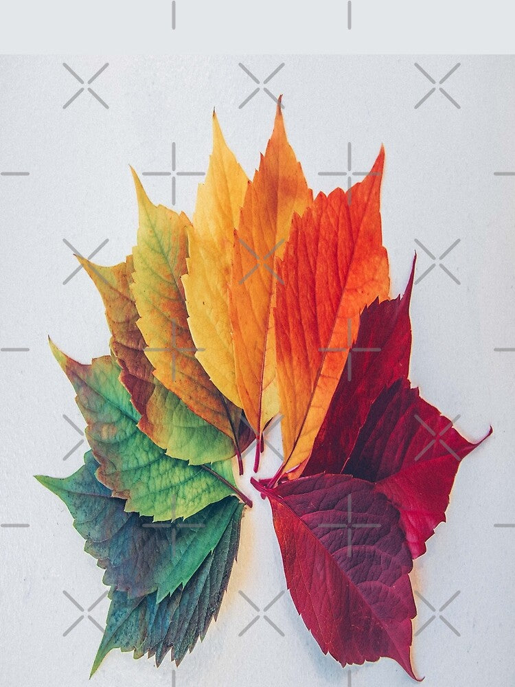 Fall Color Season Leafs by Alladin7