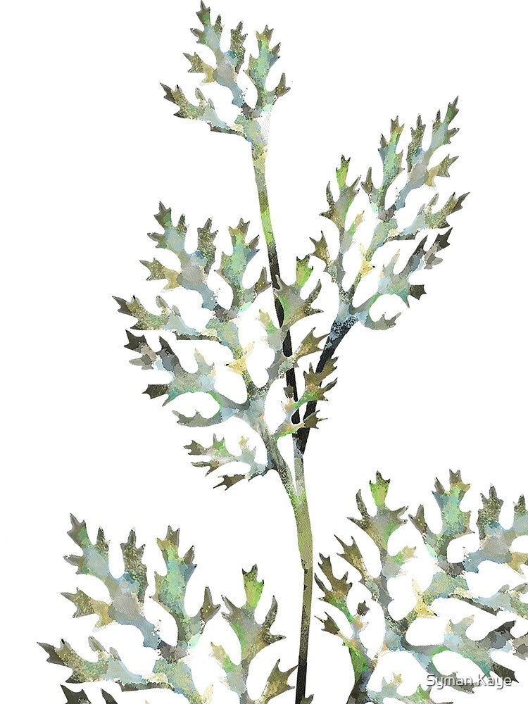 Botanical Herb Leaf Print - Botanical Flowers and Leaves by Syman Kaye