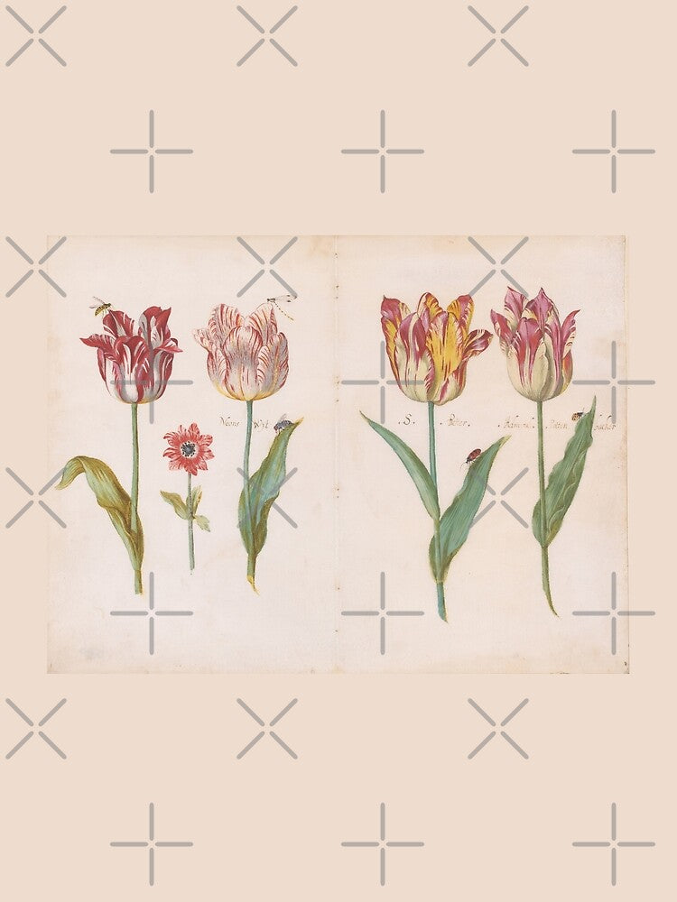 Tulips by Jacob Marrel, c. 1640 by ebrawne