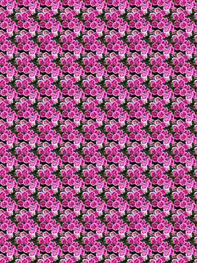 Pink and white sweet william flowers by LittleBettyMakes
