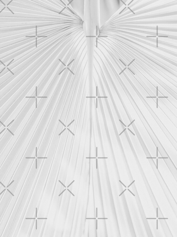White fan palm leaf by SulkaCreative
