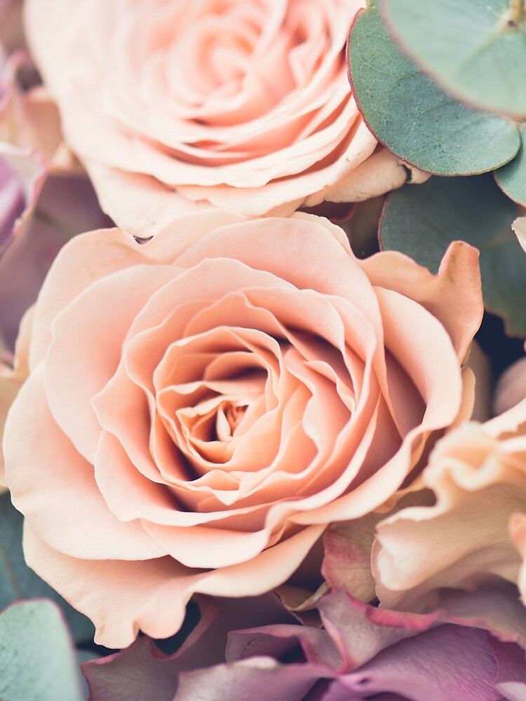 Beautiful Peach Floral Design by JacobIV