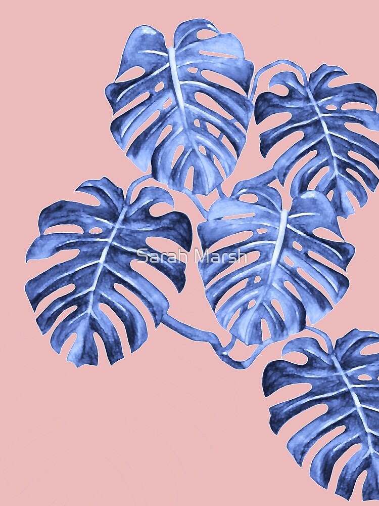 Monstera Deliciosa, swiss chess plant, blue on pink, palm by Sarah Marsh