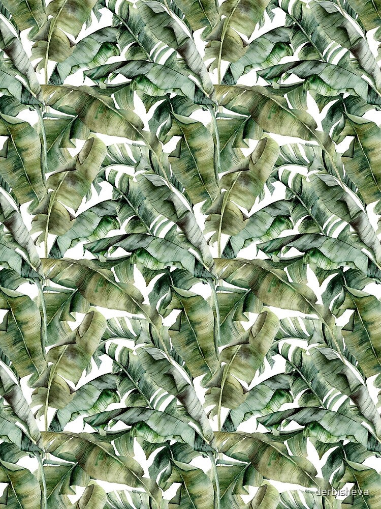 Watercolor banana palm leaves. Tropical foliage by derbisheva