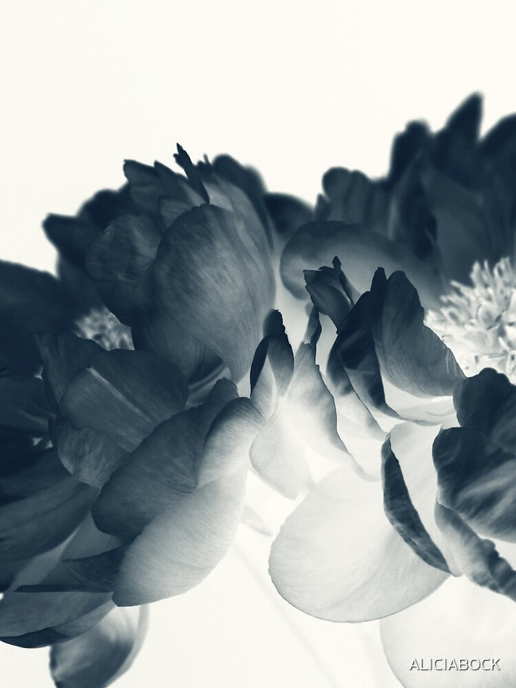 Blue Paeonia #7 by ALICIA BOCK