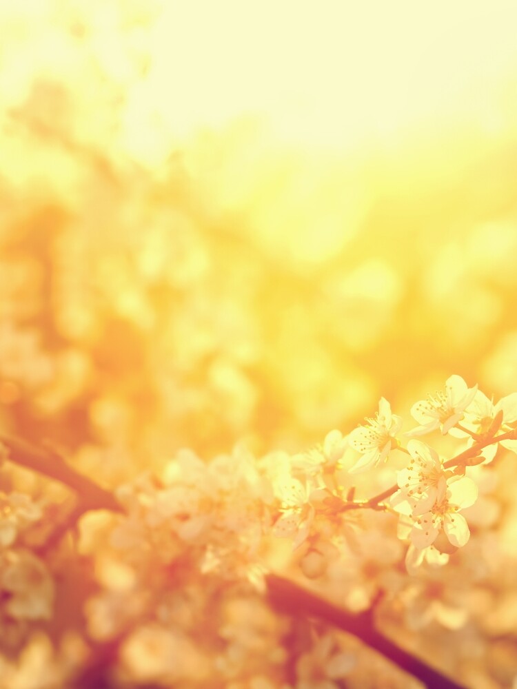 Gold Floral Design by JacobIV