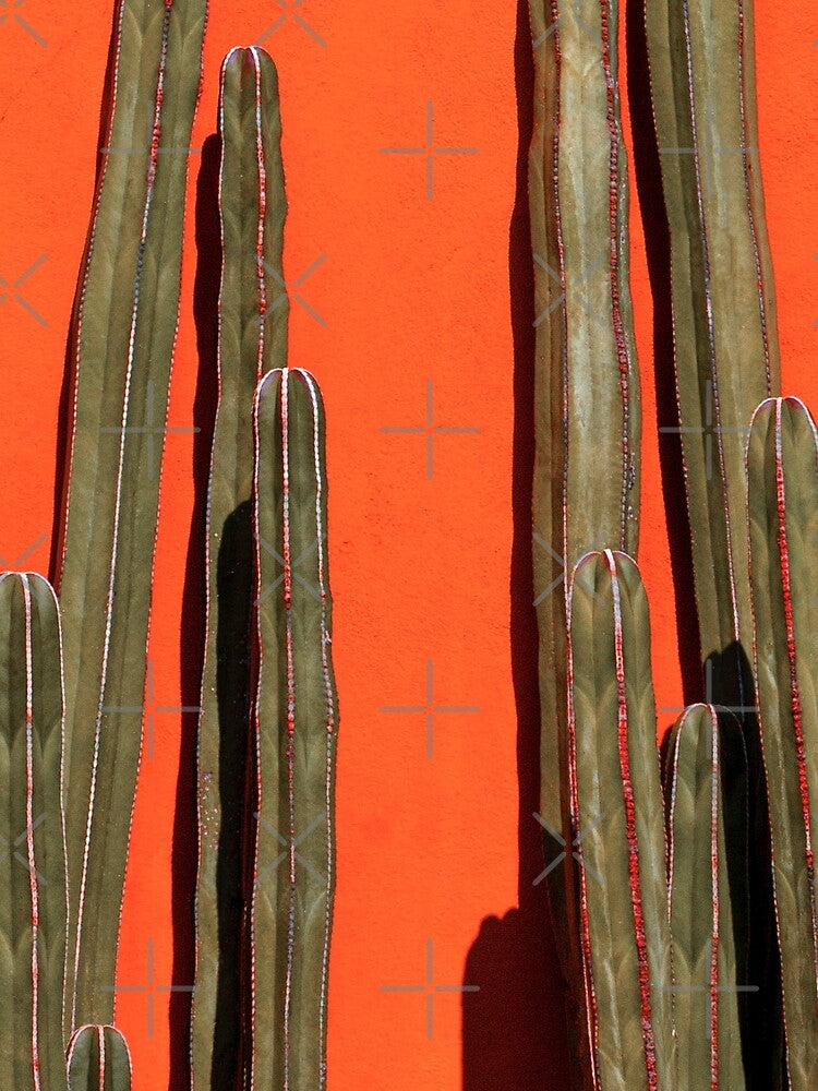 CACTUS - PLANTS - CACTUS LOVER - POSTER by Tropical Blood