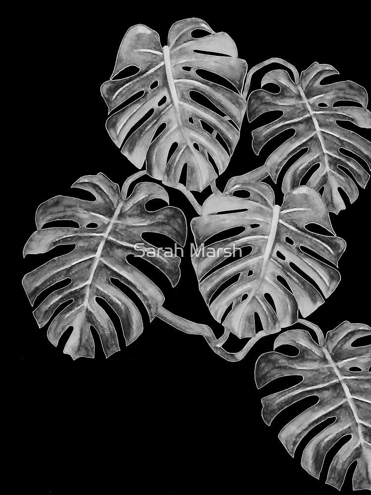 Monstera Deliciosa, swiss chess plant, Monochrome, palm by Sarah Marsh