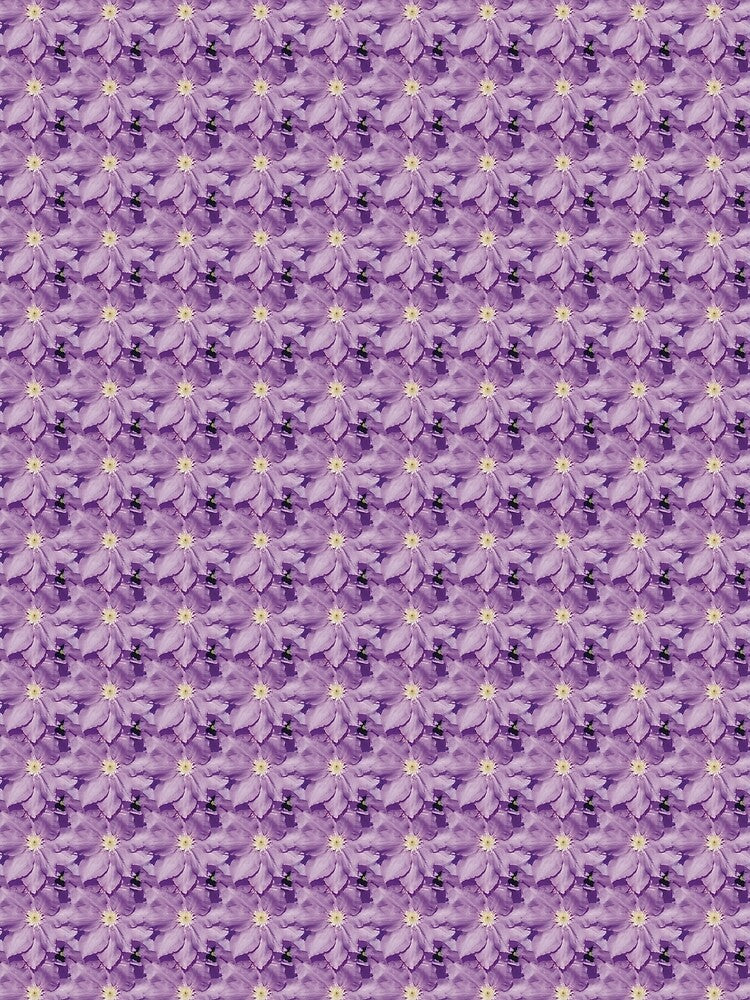 Lilac clematis by LittleBettyMakes