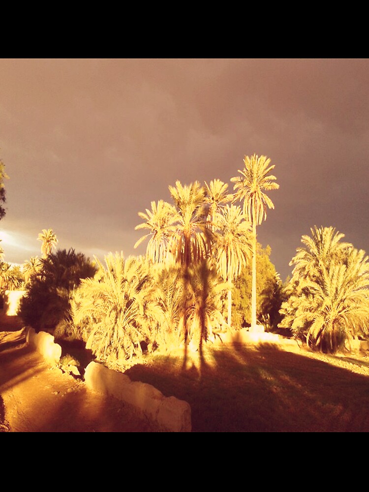 Palm trees and foggy sky by faridman