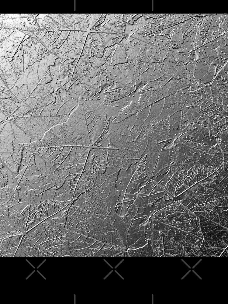 Leaf Fossil by bradm50