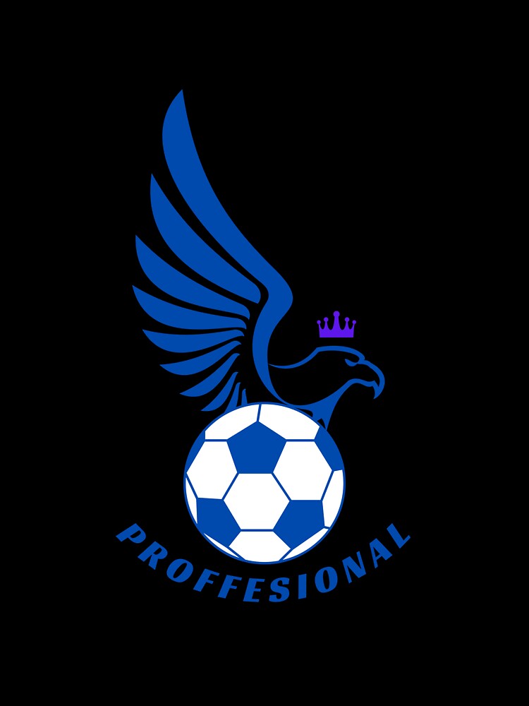 Football Blue Eagle Professional Ball | Soccer Professional Maestro by Football Stickers World