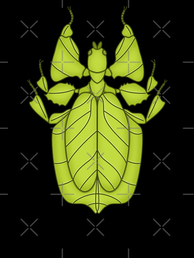 Walking Leaf Insect (Green) by buggyfriends