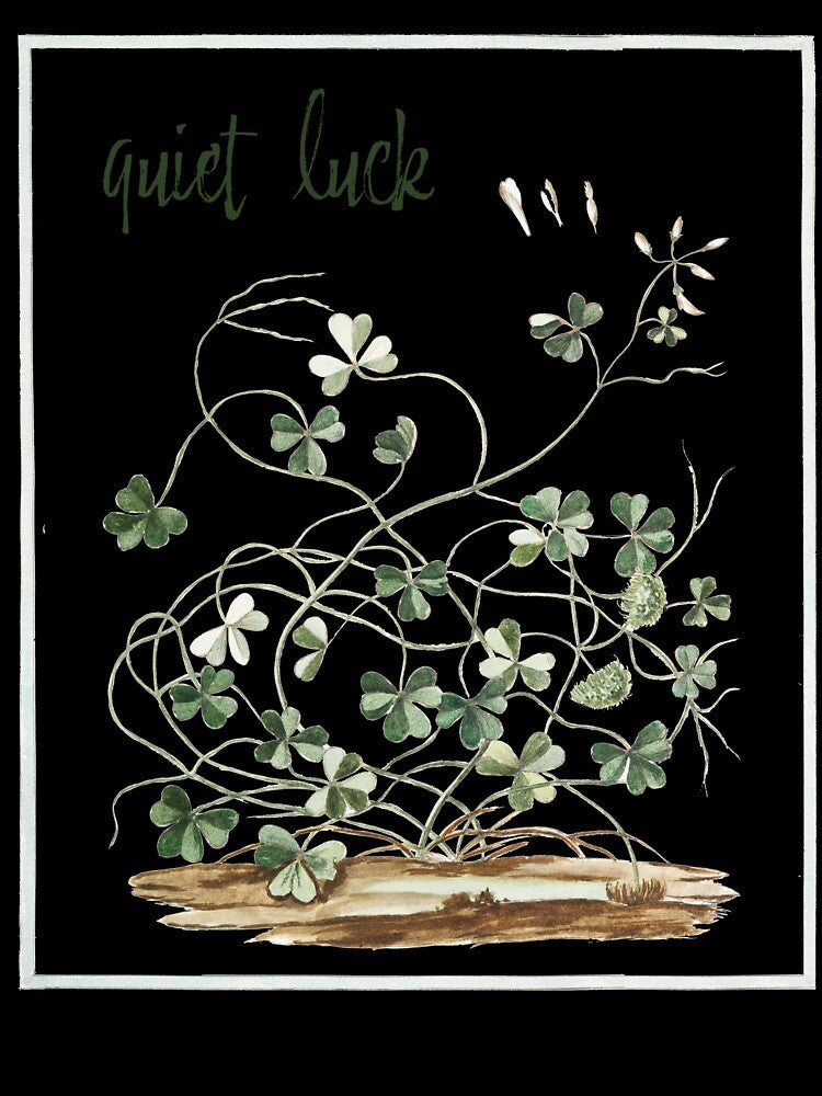 Quiet Luck Clover Botanical Illustration by AggyCreatif