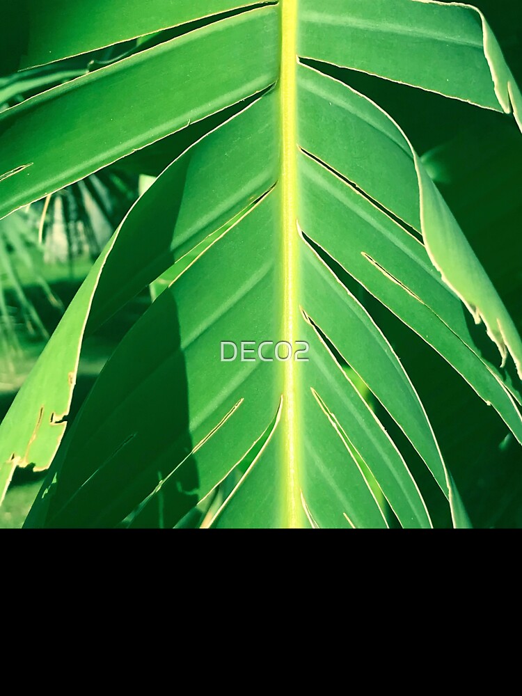 Elegantly Ragged Palm Leaf Macro Art Photo by DEC02