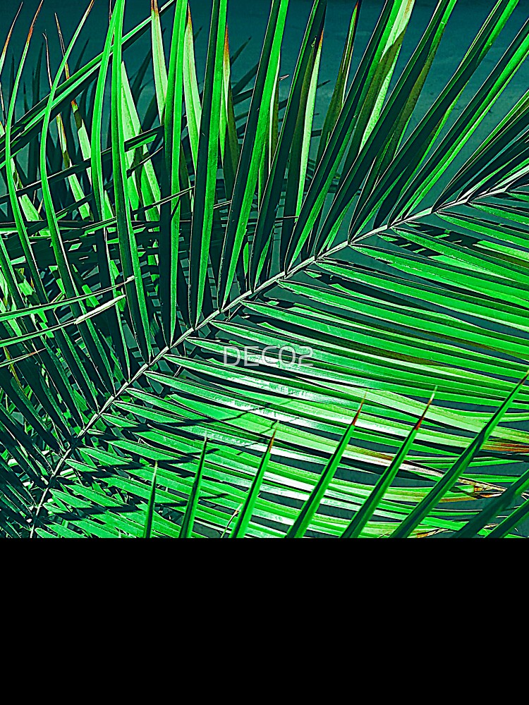 Green Emerald-Hues Exotic Palm Leaf Close-Up by DEC02