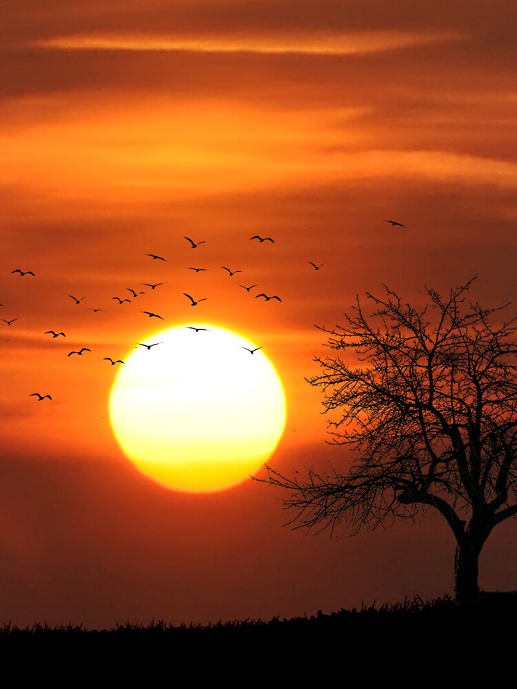 BEAUTIFUL SUNSET by MJ96-PRO