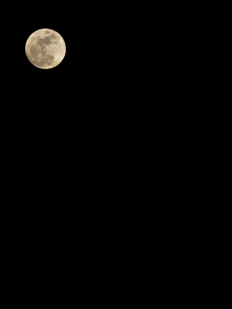Full Moon by OTNAStore