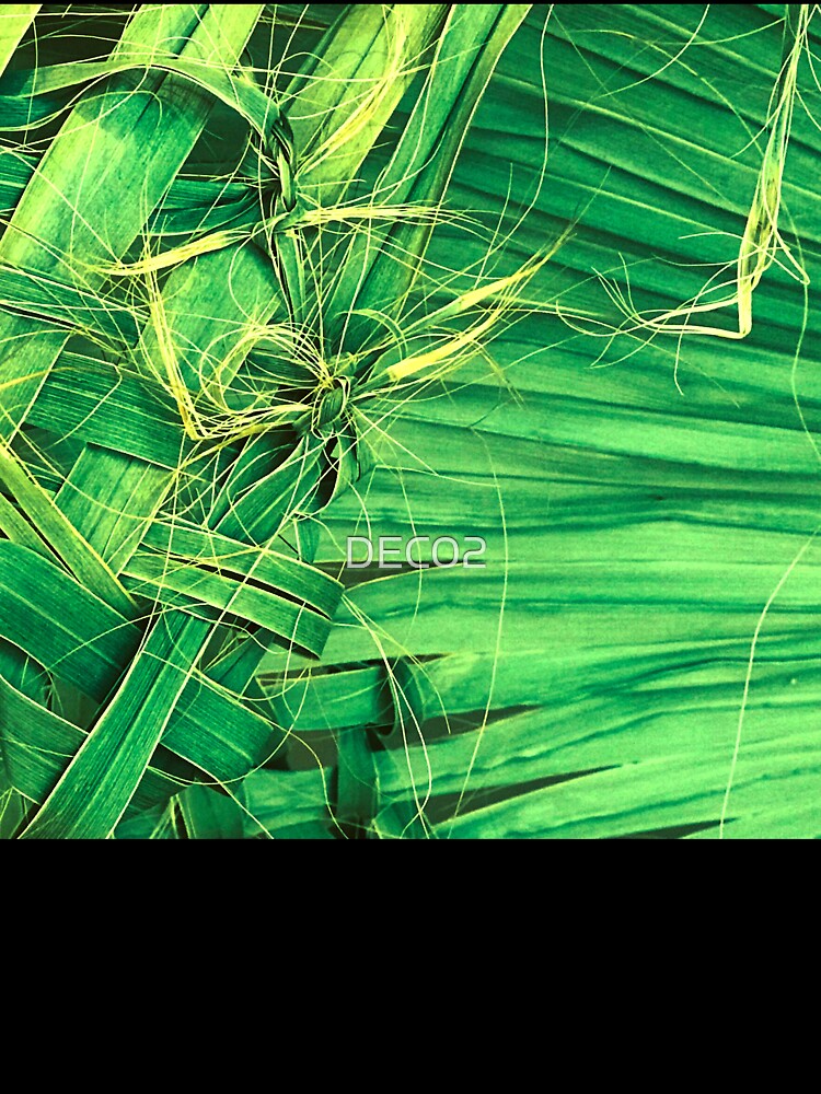 Island Palm Leaf Close-Up Artistic Photo by DEC02