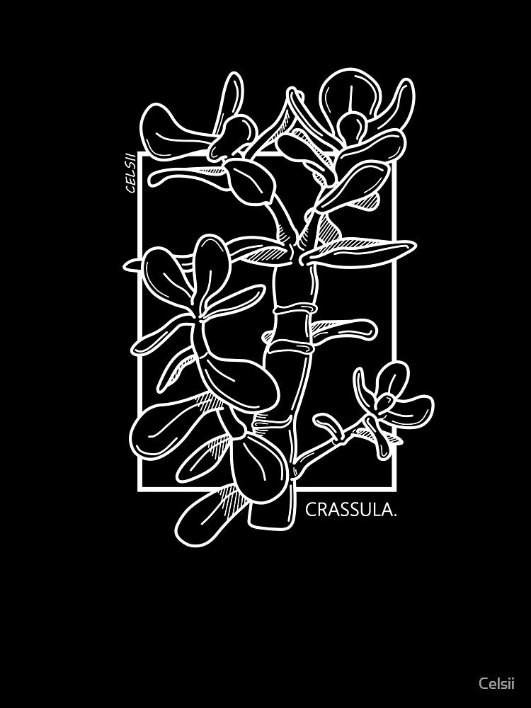 Crassula "jade plant" (white) by Celsii