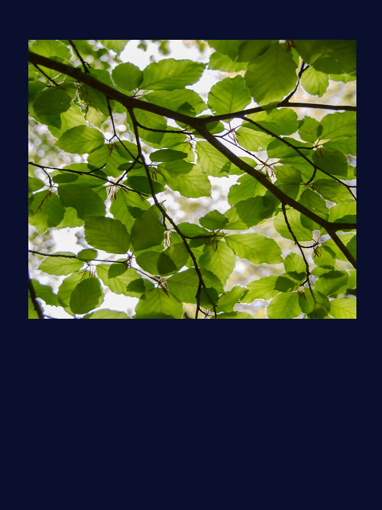nature,lief,green,tree, by grickodd