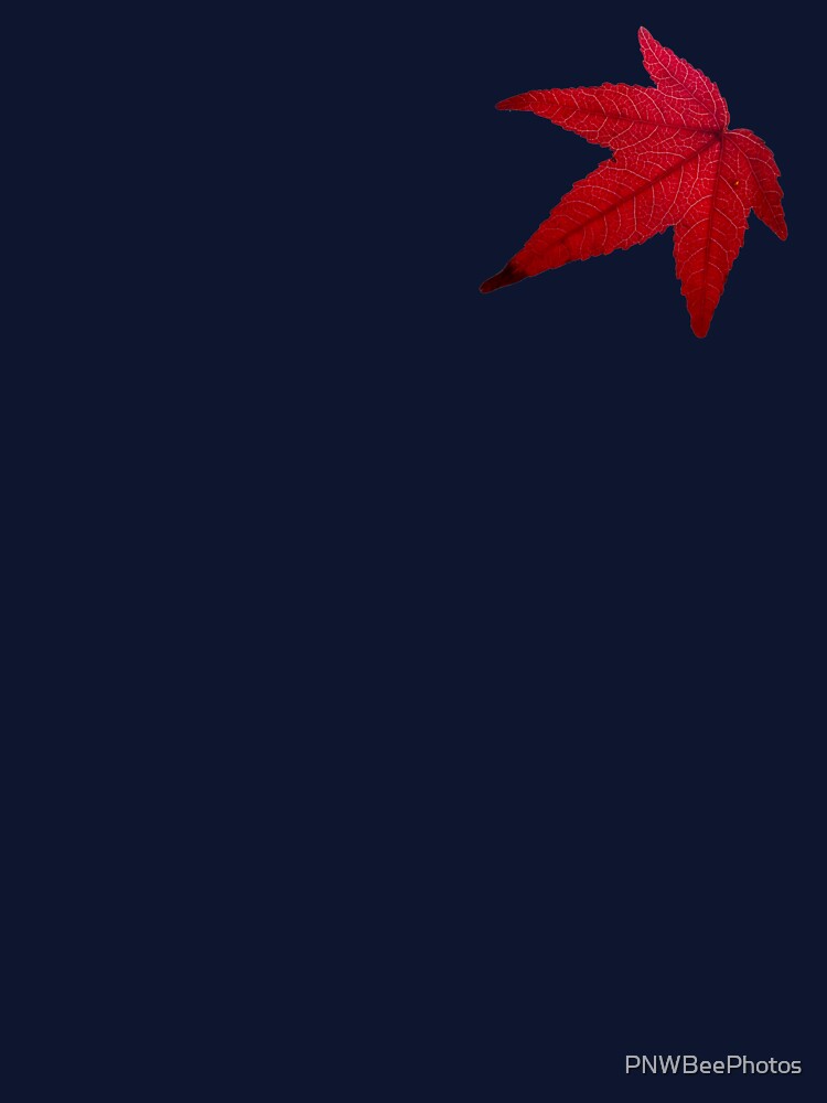 Small Red Fall Leaf by PNWBeePhotos