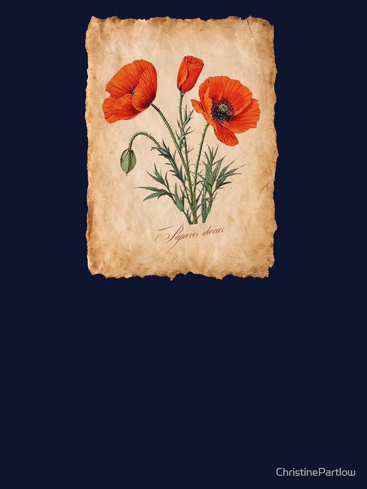 Papaver rhoeas | Botanical Illustration with Script on Vintage Parchment by ChristinePartlow