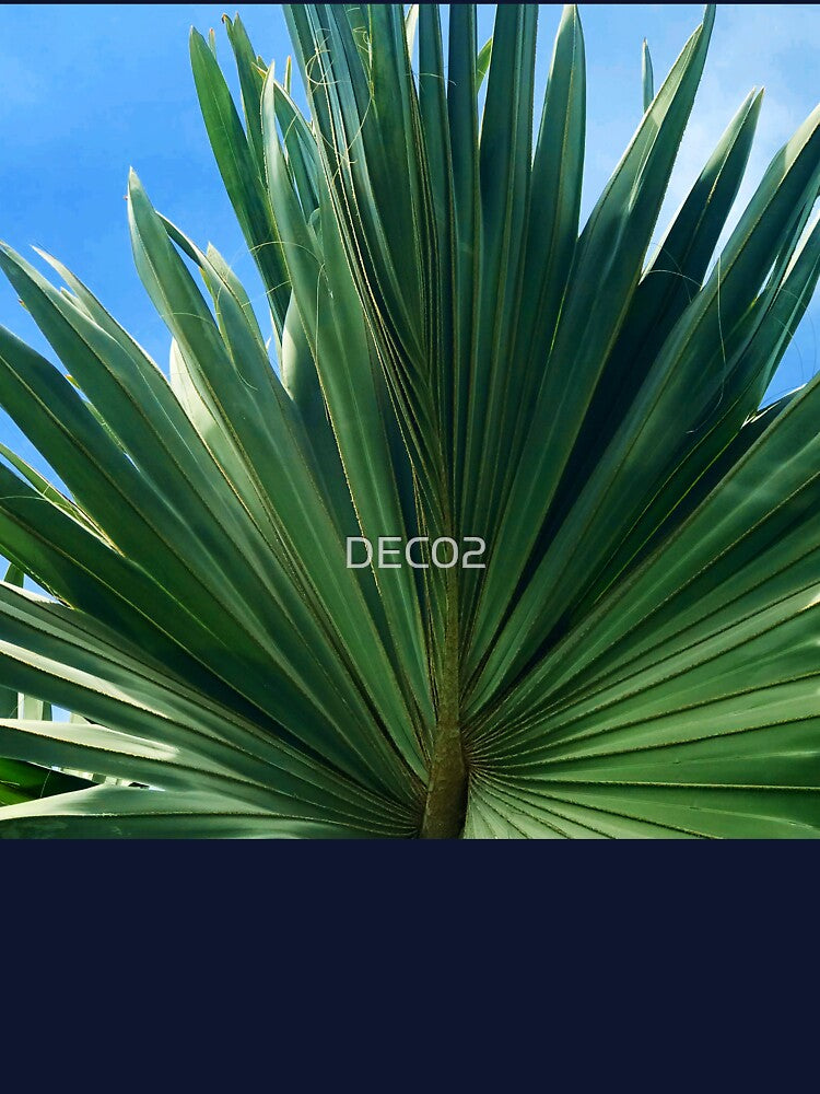 Artistic Palm Leaf In Azure Blue Sky by DEC02