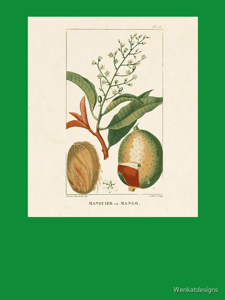 Mango Botanical Art by Wenkatdesigns