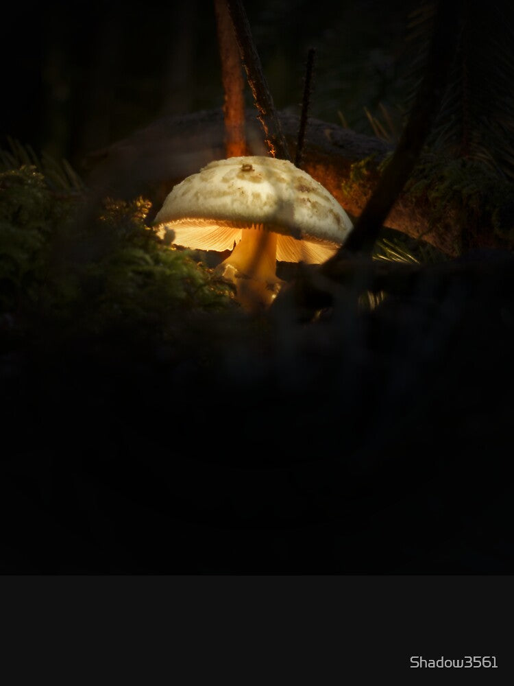 Magic Mushroom by Shadow3561