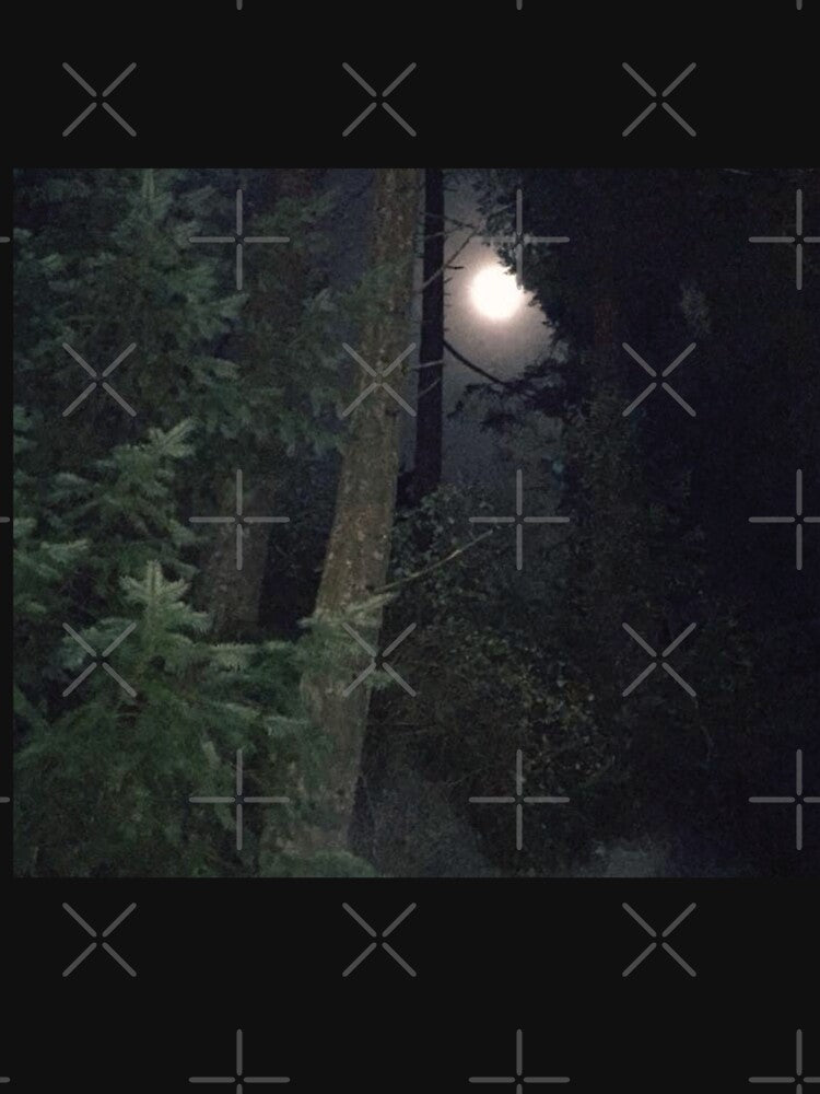 Full Moon on Sharie Road, Gabriola Island by drumweaver