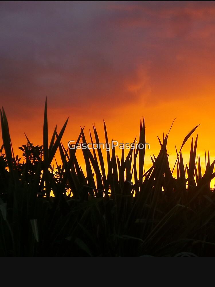 Exotic Gascony Sunset by GasconyPassion