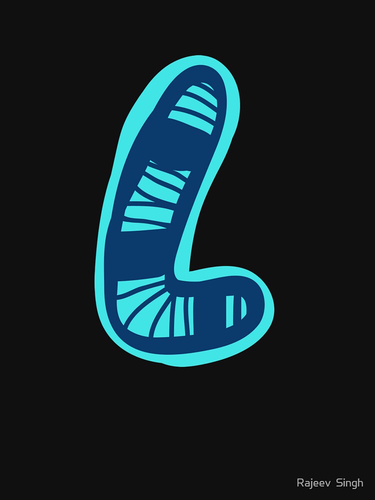 Initial Monogram L by Rajeev  Singh