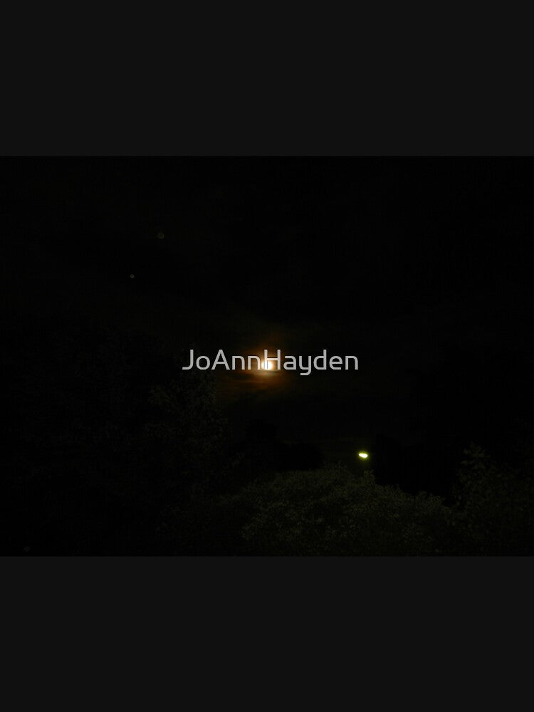 A summer moonlit night by JoAnnHayden