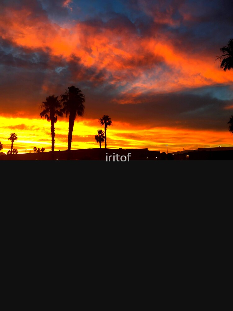Red hot Palm treesSunset landscape by Iritof by iritof