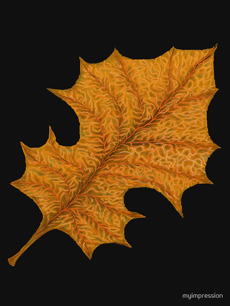 Fall Leaf by myimpression