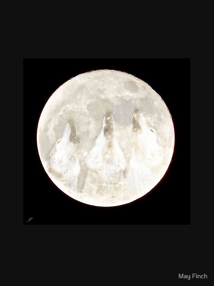 Faces on the Frost Moon by May Finch