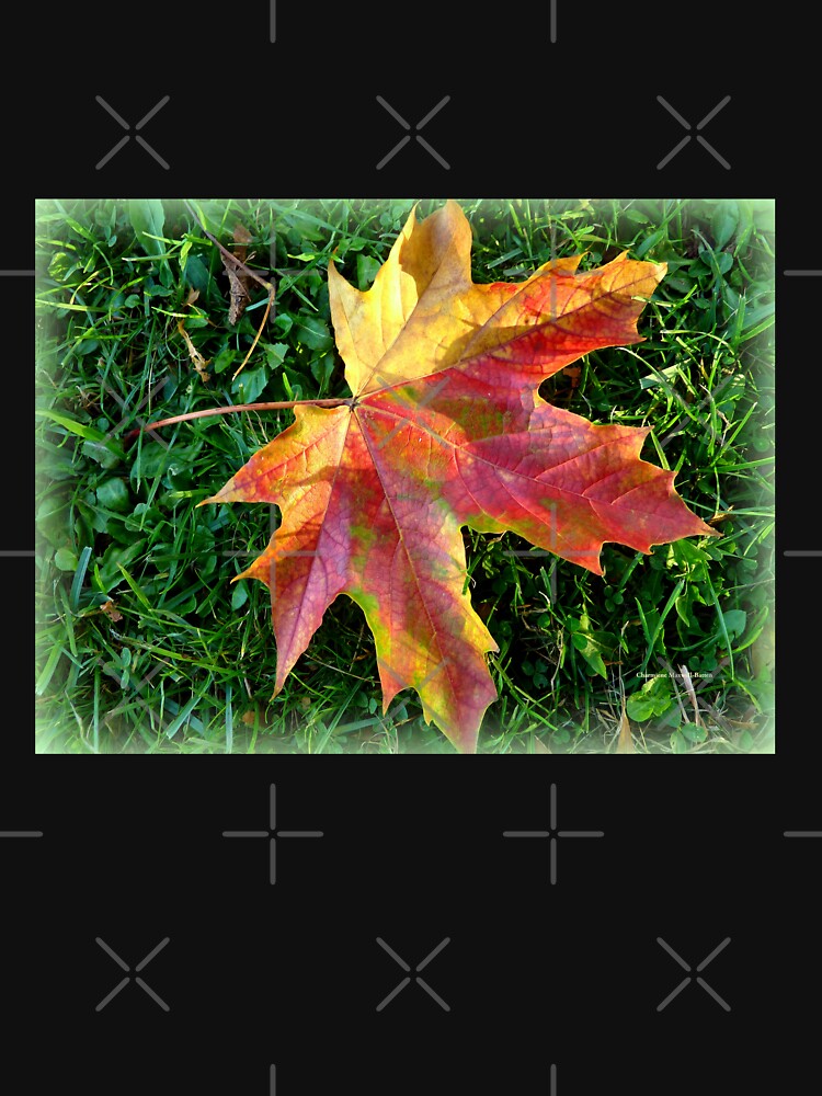 A Leaf by Charmiene Maxwell-Batten